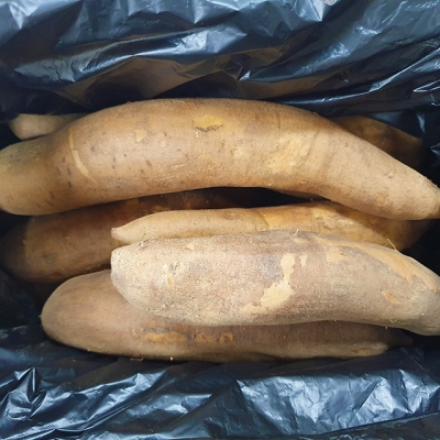 인제로컬푸드,강원도 인제 숙성 야콘 4kg 2024년 국내산 [로컬푸드]