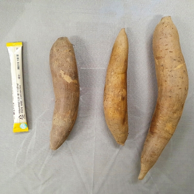 인제로컬푸드,강원도 인제 숙성 야콘 4kg 2024년 국내산 [로컬푸드]